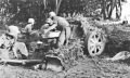 7.5 Cm Pak 40 