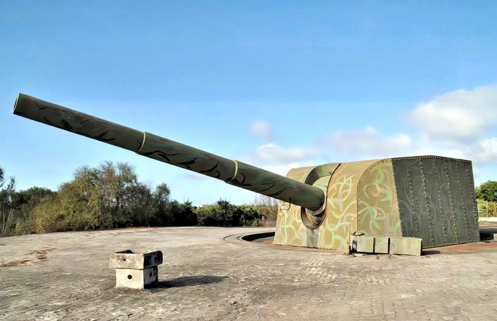 305mmcdglamarquinabattery2