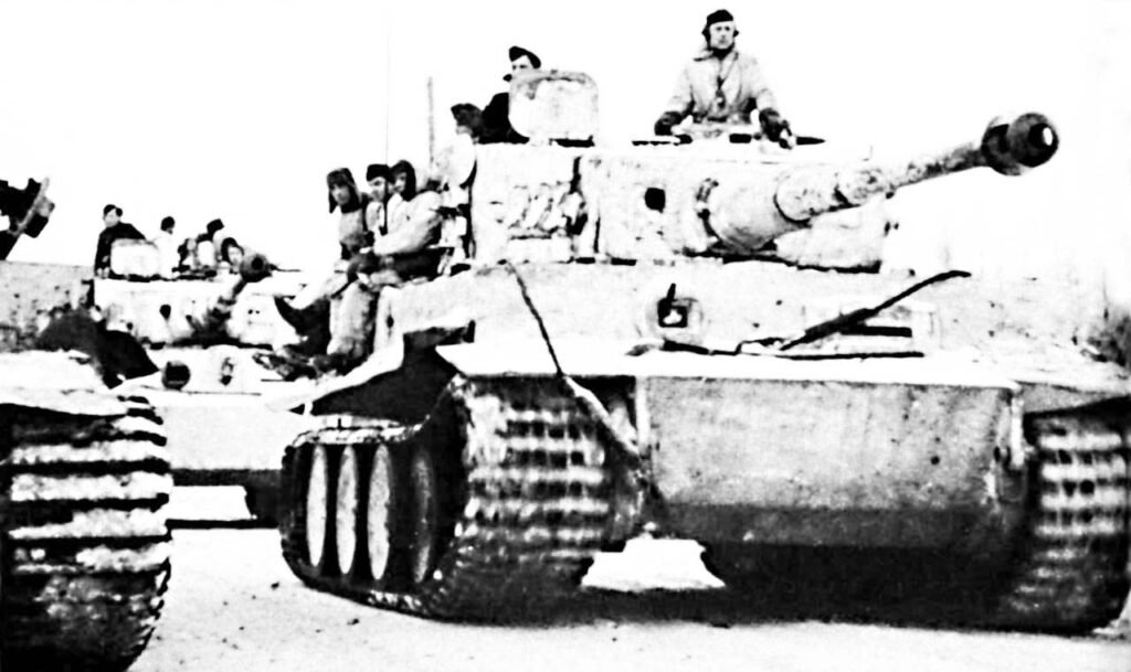 tiger195