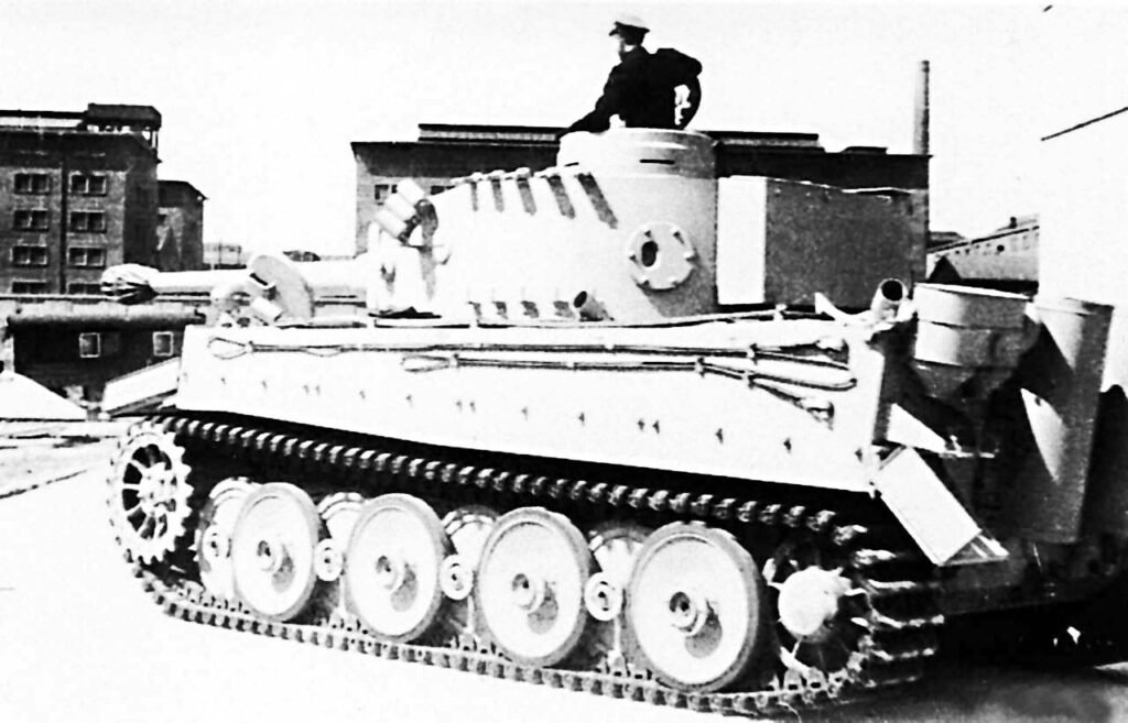 tiger50